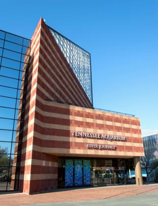 Tennessee Aquarium