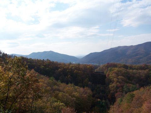 Greenbrier State Forest