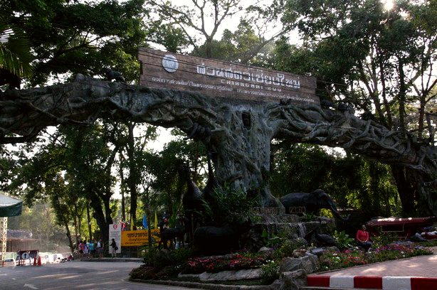 Chiang Mai Zoo