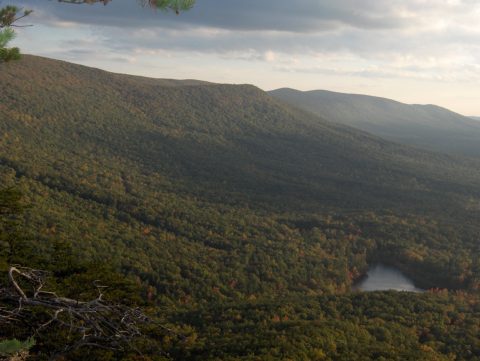 Talladega National Forest