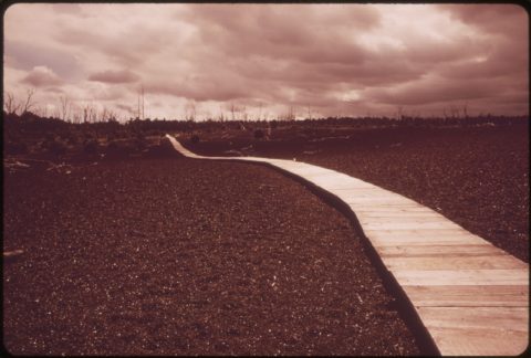 Devastation Trail