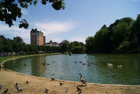 Ixelles Ponds