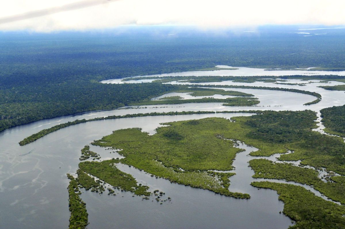 Amazon Rainforest