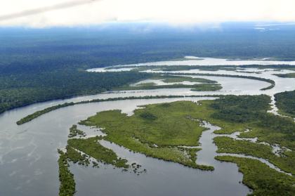 Amazonas-Regenwald