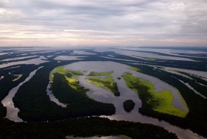 Anavilhanas Nationalpark