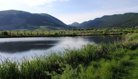 National Elk Refuge