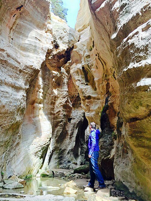 Avakas Gorge in Akamas