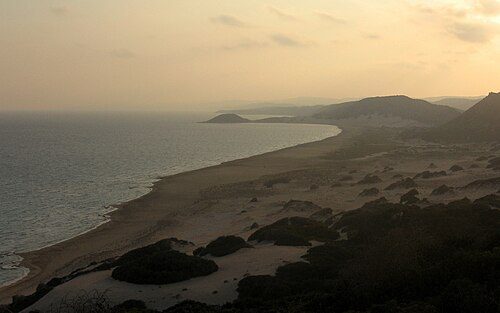 The sandy beaches are often used as habitats for green turtles