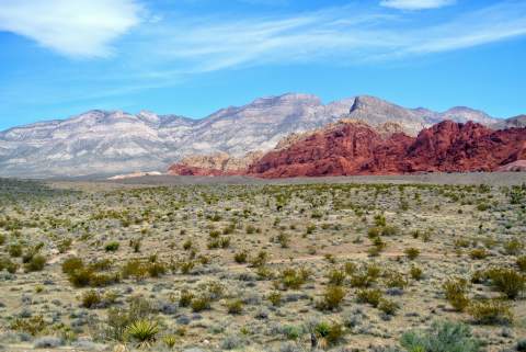 Red Rock Canyon
