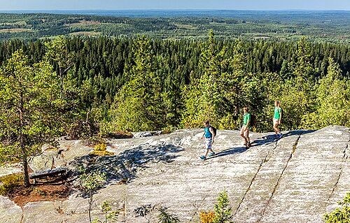 People hiking in the Koli National Park