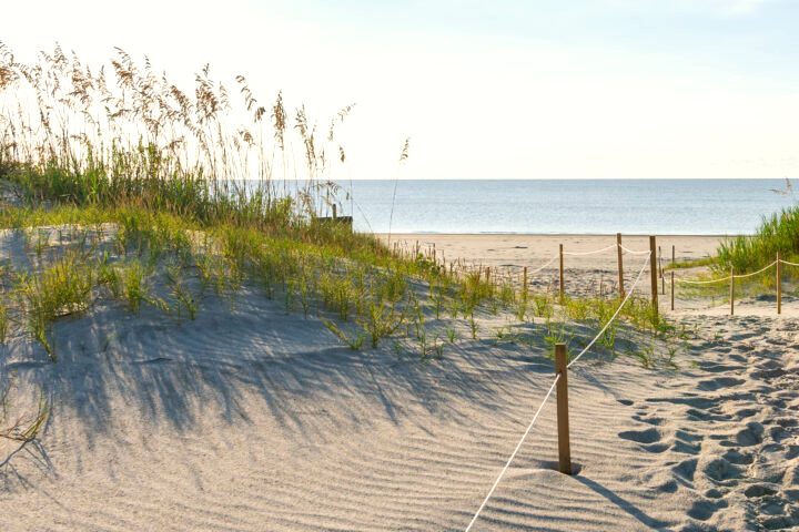 Great Dune Beach Access