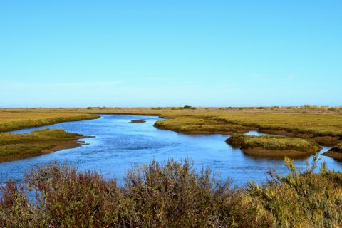 Ria Formosa Natural Park