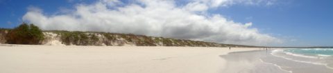 Tortuga Bay