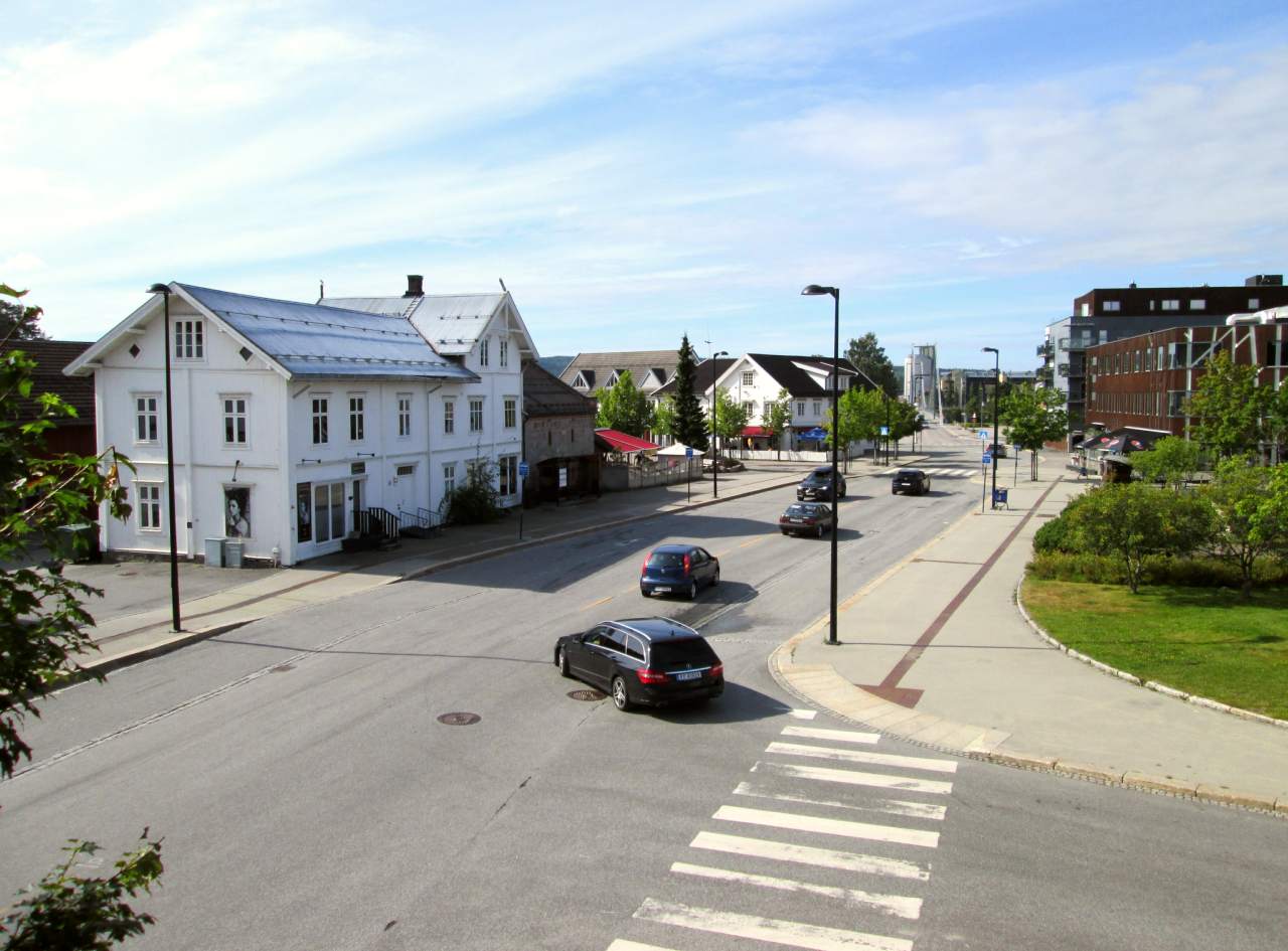 Norwegian Forest Museum