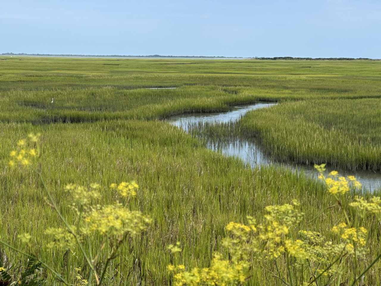 Eastern Shore of Virginia National Wildlife Refuge