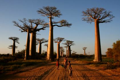 Madagaskar