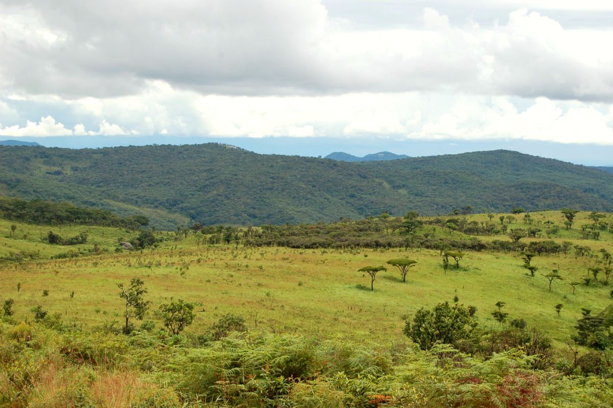 Malawi