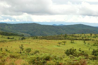 Malawi