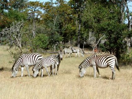 Namibia