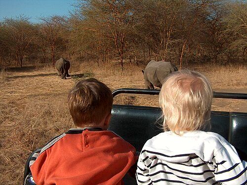 Western tourists visit rhinoceroses kept at the Bandia Natural Reserve near Dakar.