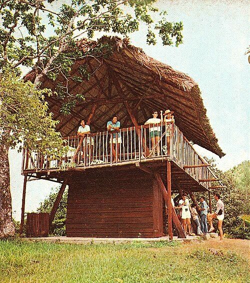 Tourists on the viewing lodge for Vallée de Mai on the island of Praslin, Seychelles (1970s)