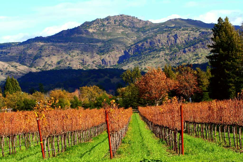 Lokale Traditionen - Napa Valley
