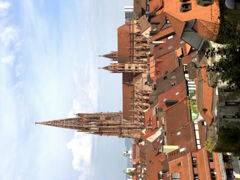 Freiburg Minster