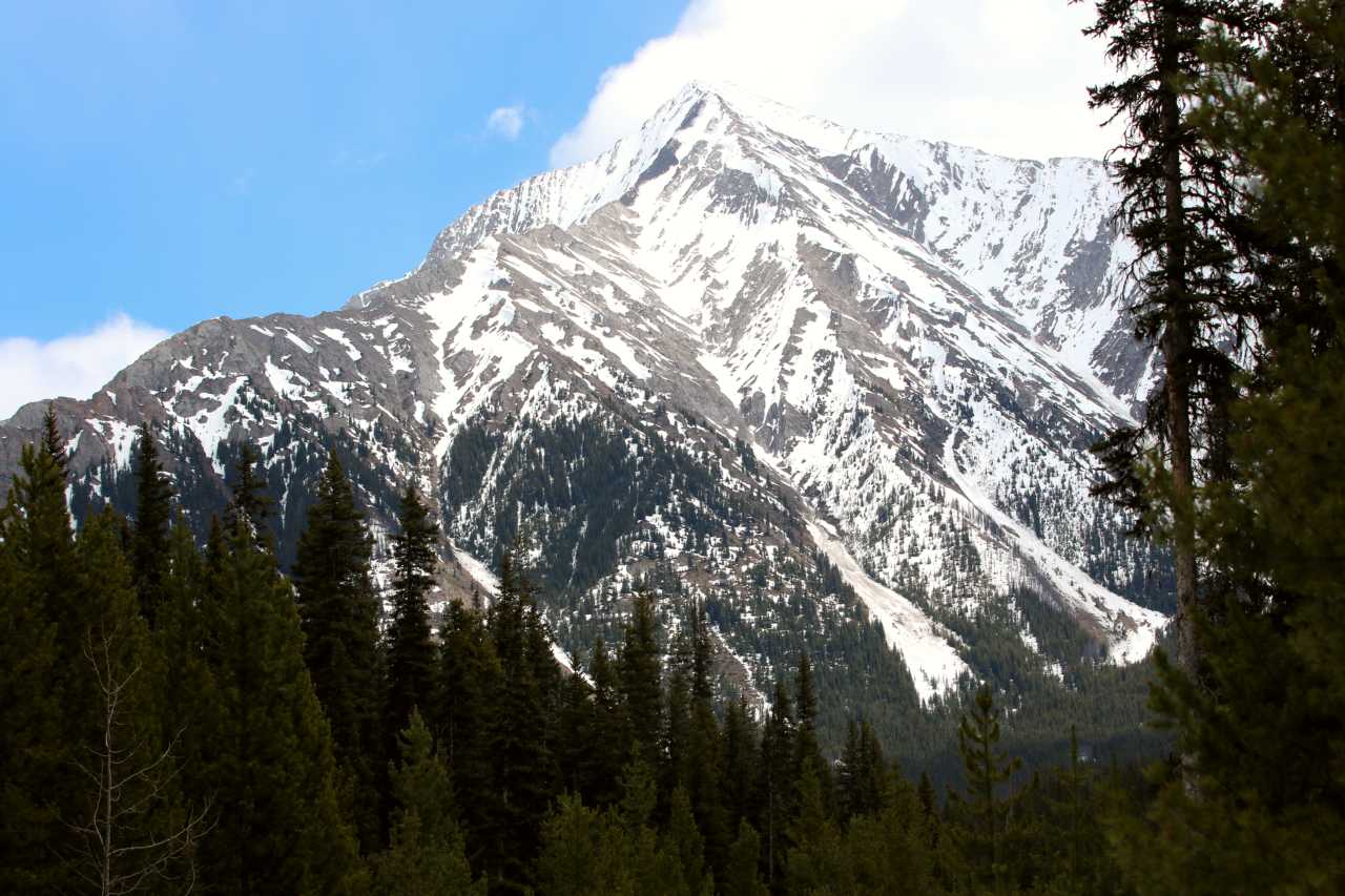 Lokales Essen und Trinken - Kananaskis