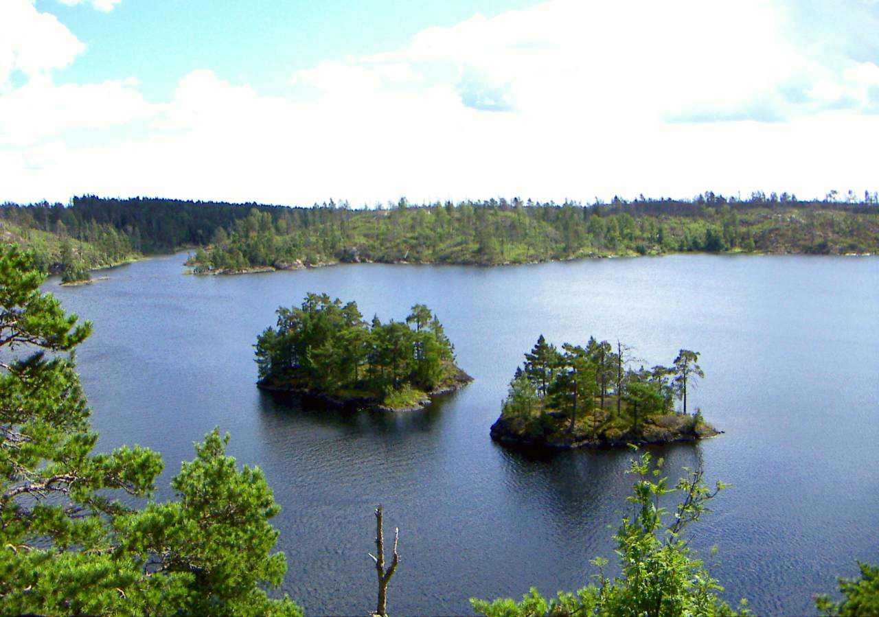 Tyresta National Park