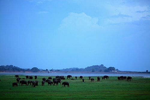 Sri Lanka