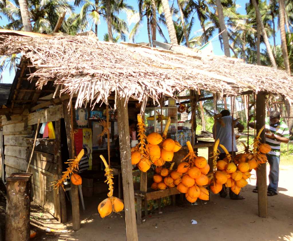 Lokales Essen und Trinken - Negombo