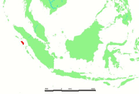 Nias Island