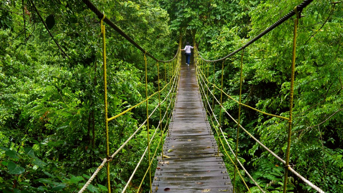 Kutai National Park