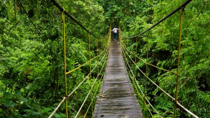 Kutai Nationalpark