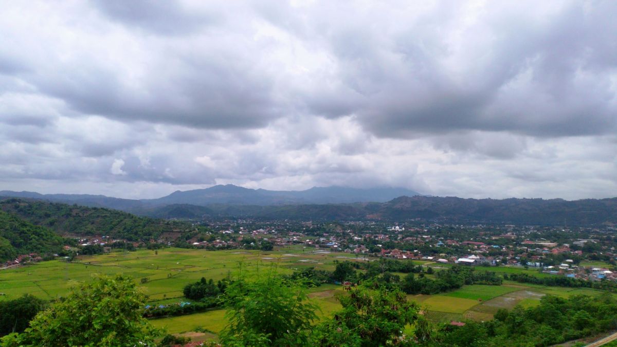 Bima