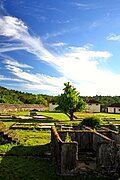Saparua