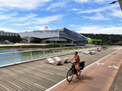 Musee des Confluences