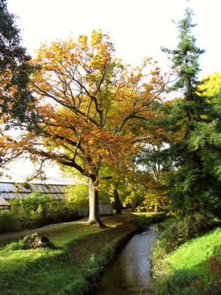 Roath Park