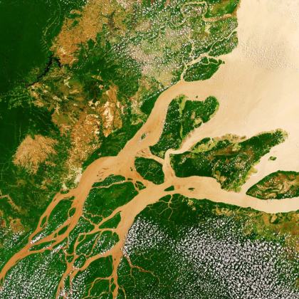 Amazonas
