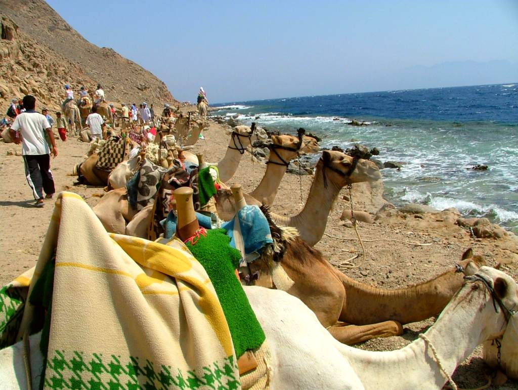 Dahab