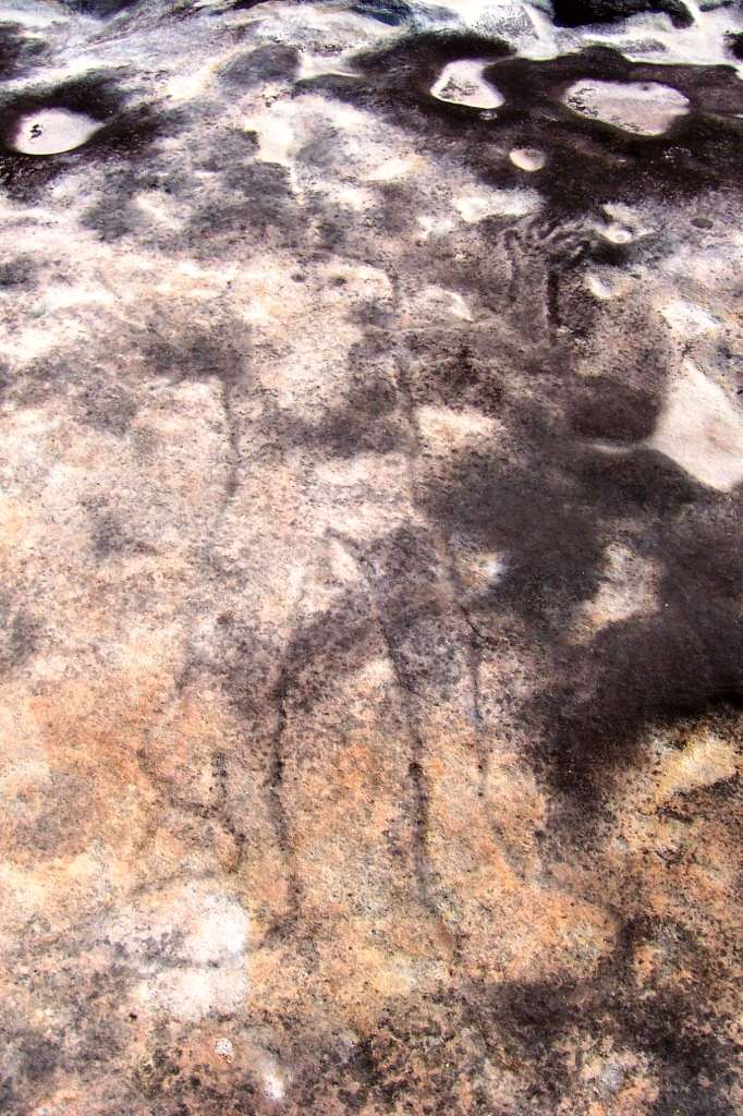 Geschichte - New South Wales