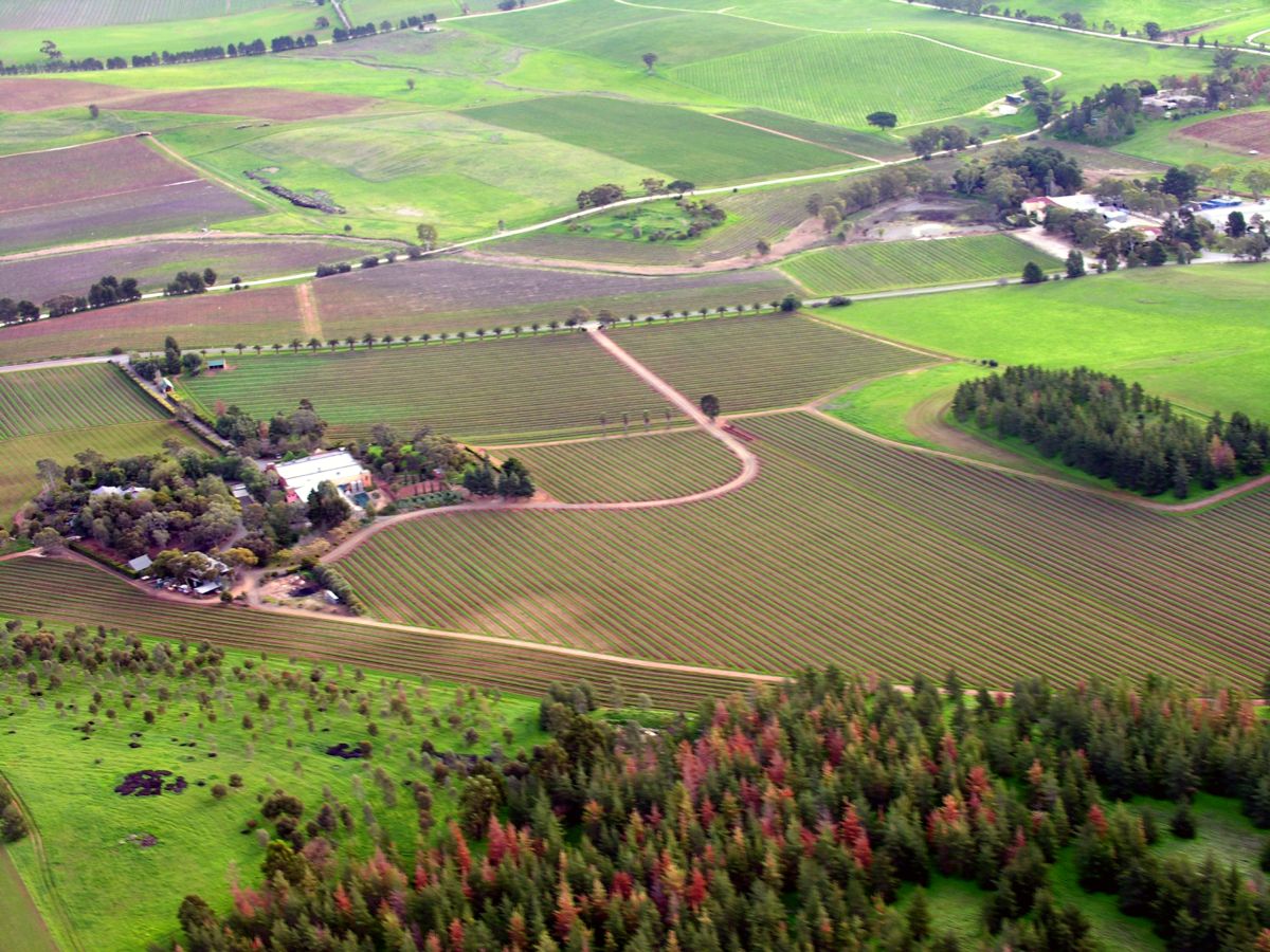 Lokale Traditionen - South Australia