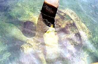 A PBY engine which had been hauled close to the shoreline. Image taken 1995