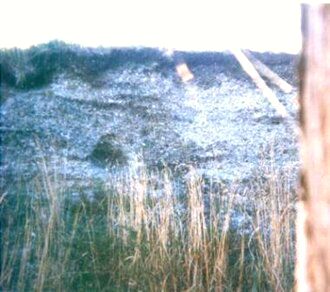 Four meter deep midden on the coast of Nercón, Fjord of Castro.