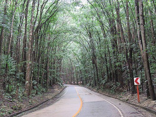 Bohol