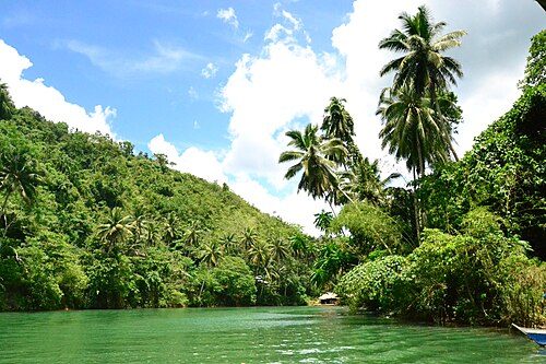 Bohol
