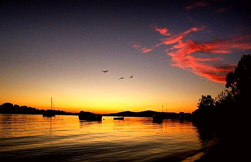 Noosa