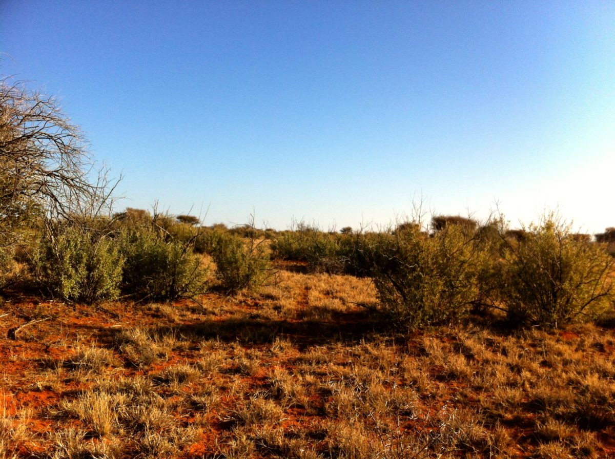 Northern Cape