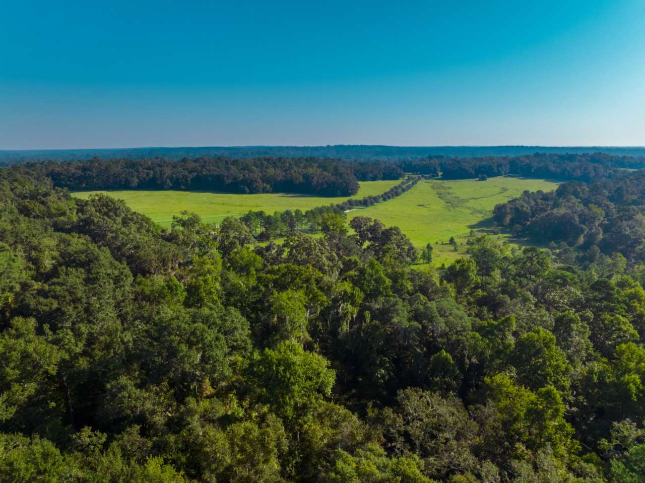 Tallahassee