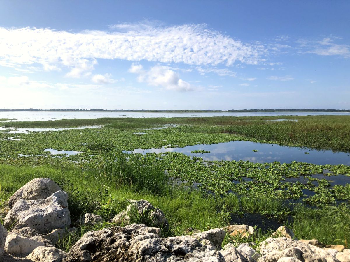 Lake Tohopekaliga